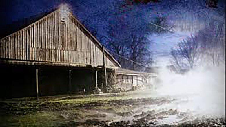 The Pig Farm image