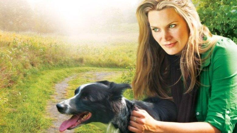 You Lucky Dog image
