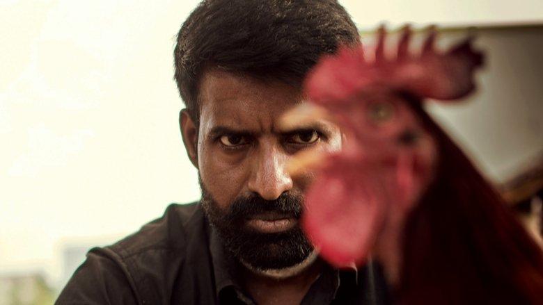 Kottukkaali image