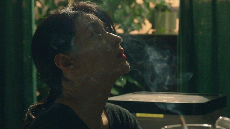 The Lady from 406 image