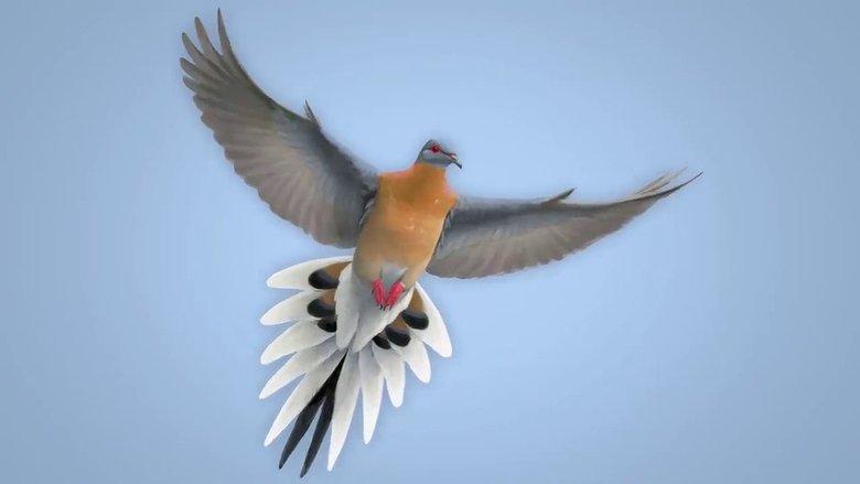 From Billions to None: The Passenger Pigeon's Flight to Extinction image
