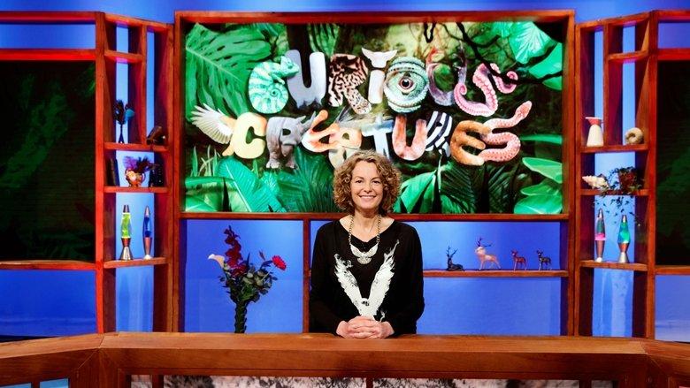 Curious Creatures image