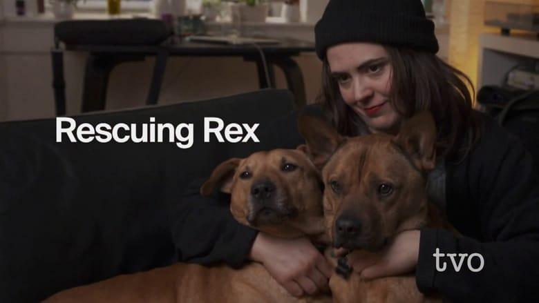 Rescuing Rex image