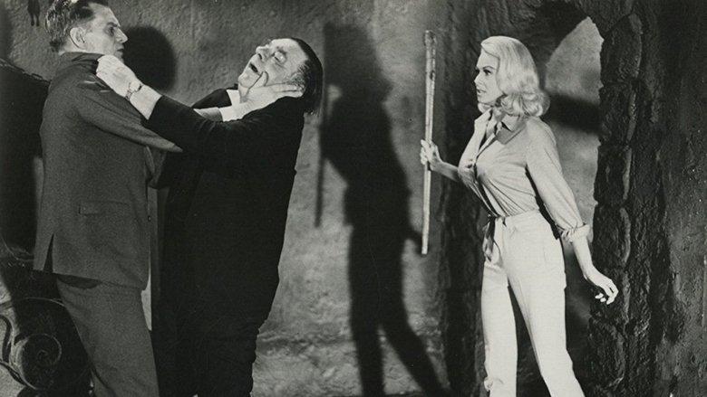 Hillbillys in a Haunted House image