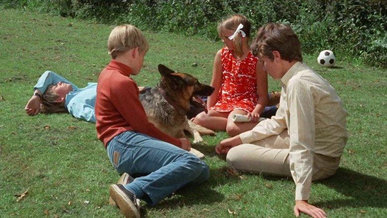 Famous Five Get in Trouble image