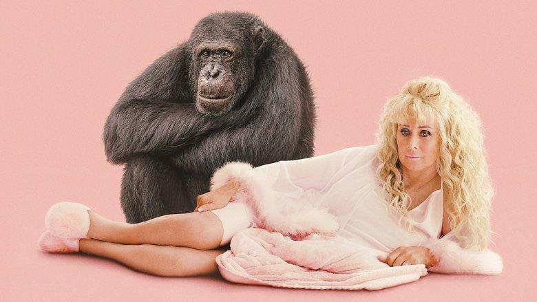 Chimp Crazy image