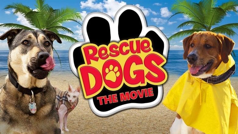 Rescue Dogs image