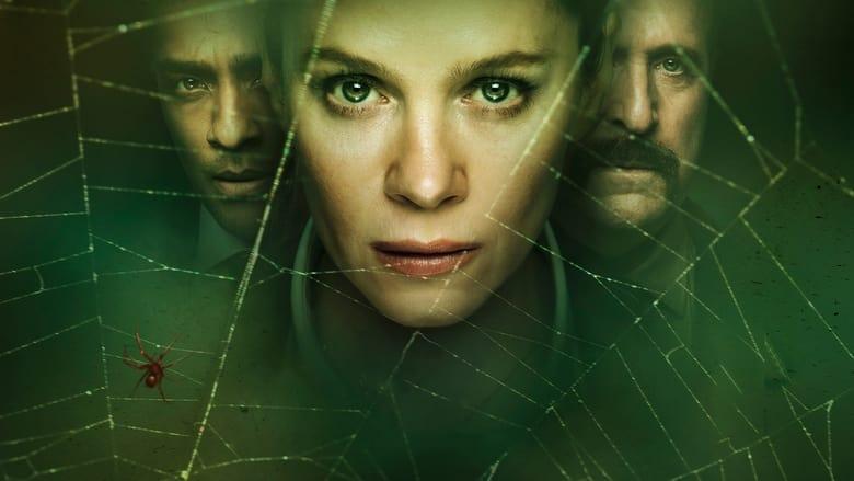 The Box image