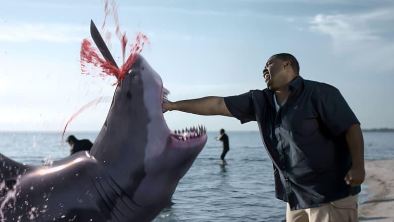 Zombie Shark image