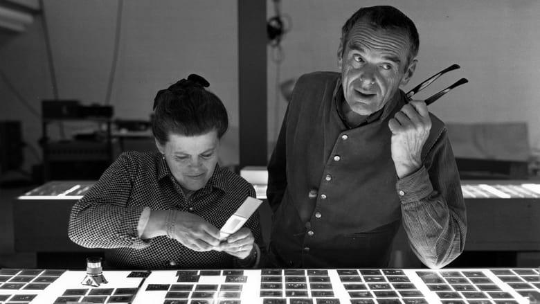 Eames: The Architect and the Painter image