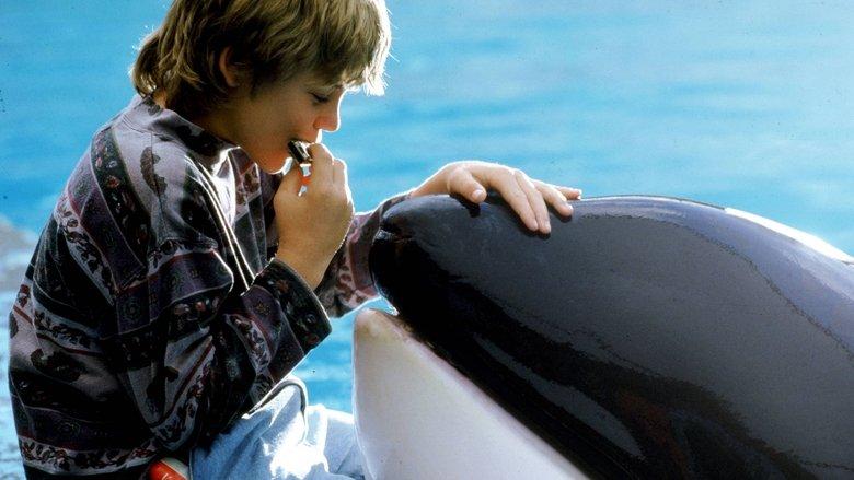 Free Willy image