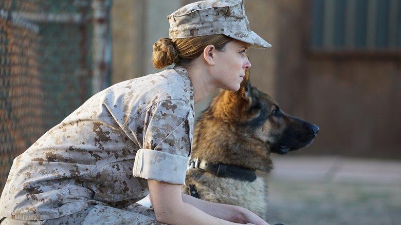 Megan Leavey image
