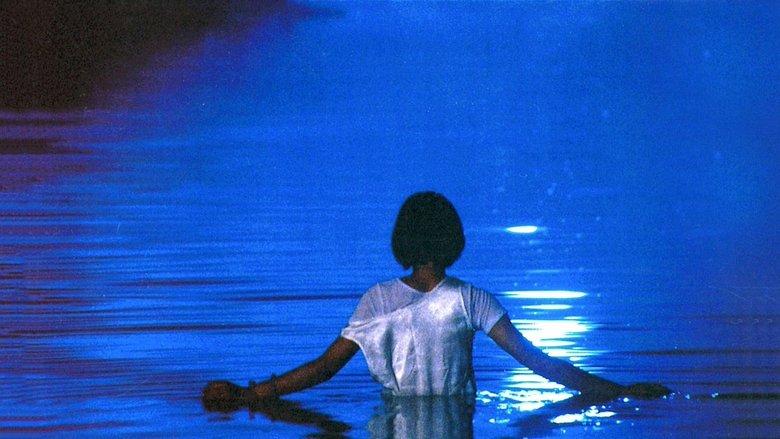 August in the Water image