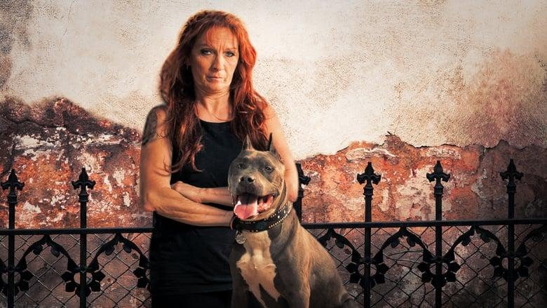 Pit Bulls and Parolees image