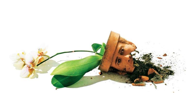 Adaptation. image
