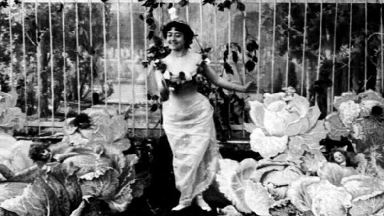 The Cabbage-Patch Fairy image