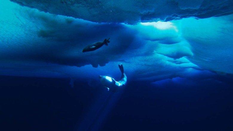 The Last Ocean image