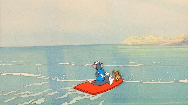 Cruise Cat image