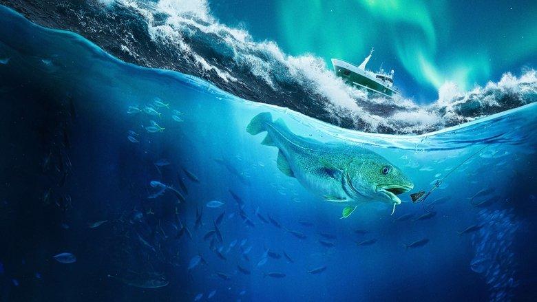 Ice Cold Catch image