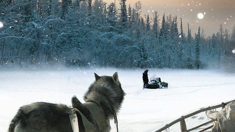 Happy People: A Year in the Taiga image