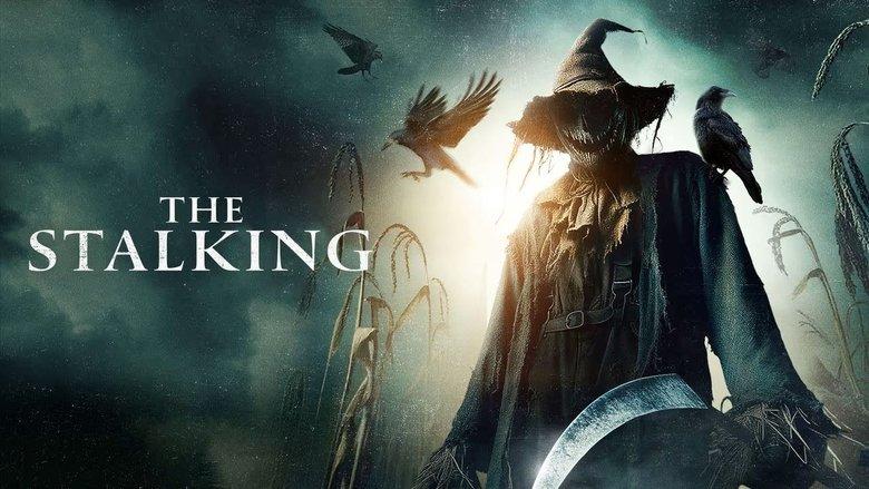 The Stalking image