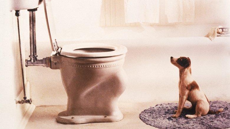 My Dog Skip image