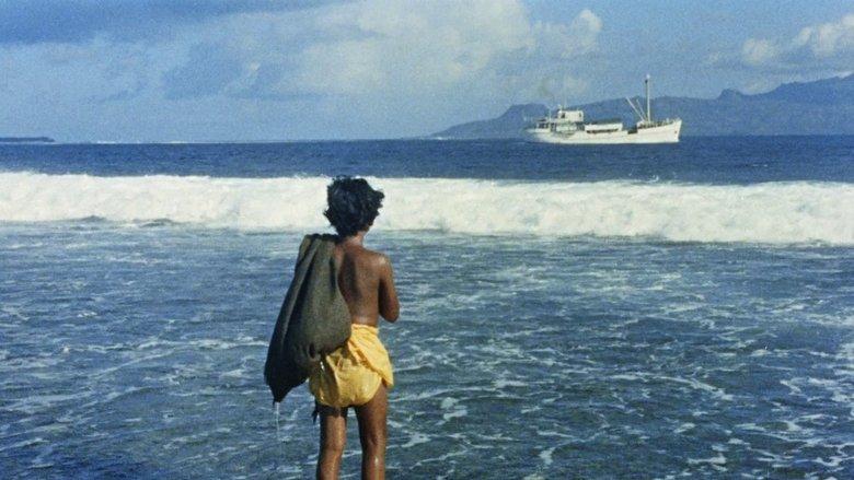 Tiko and the Shark image