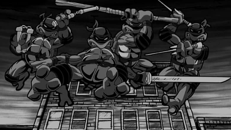 Turtles Forever image