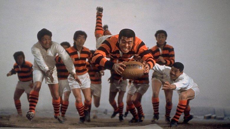 The Rugby Star image