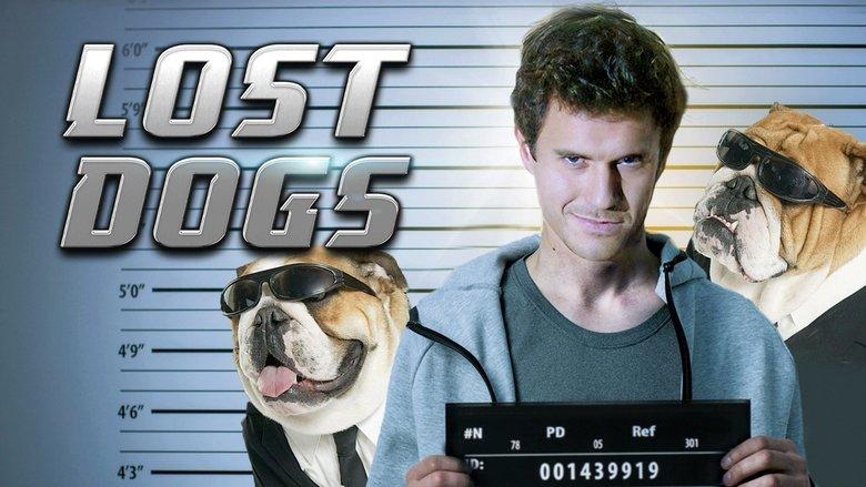 Lost Dogs image