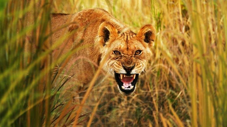 Secret Life of Predators image