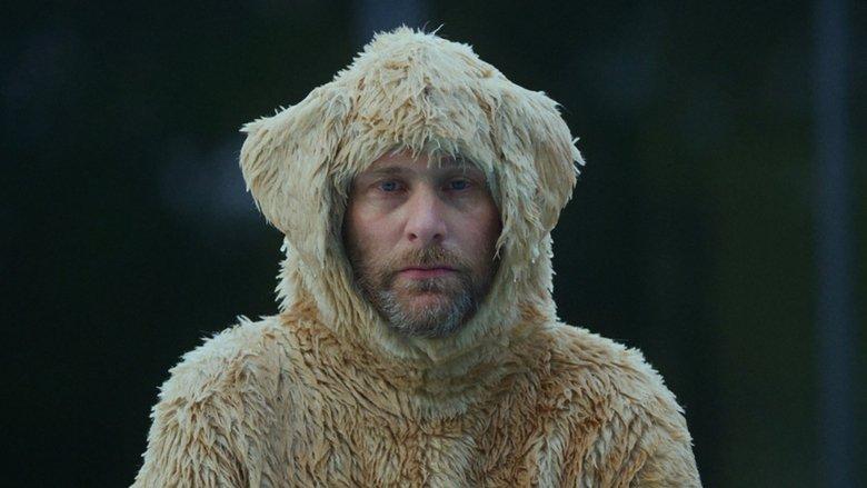 Canis familiaris image