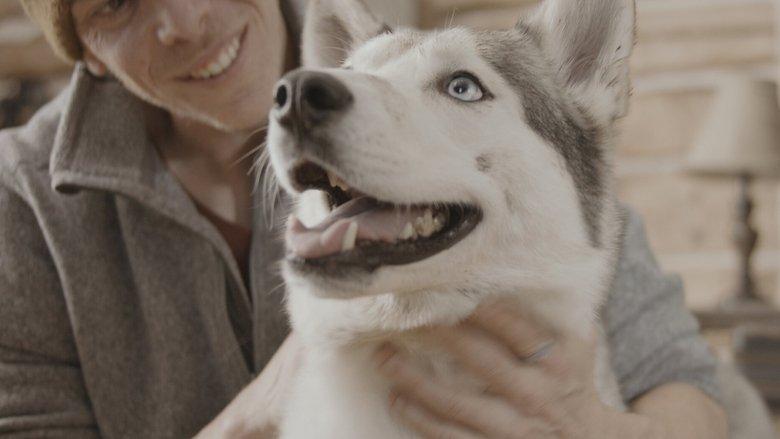 The Year of the Dog image