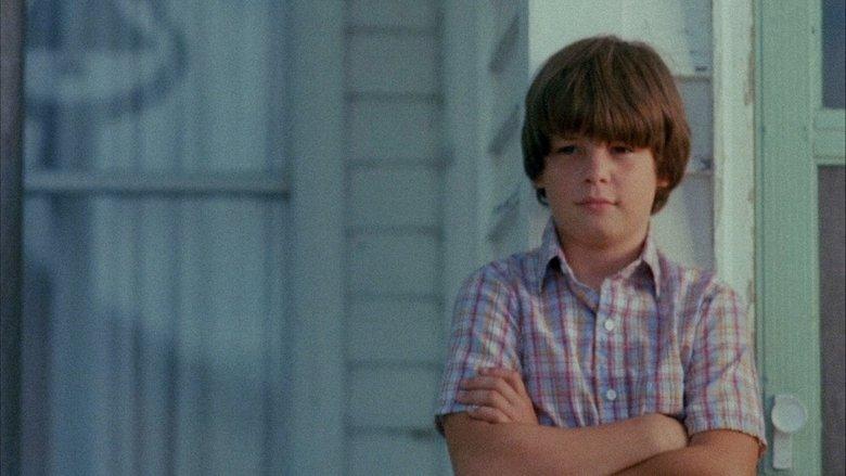 The Stone Boy image