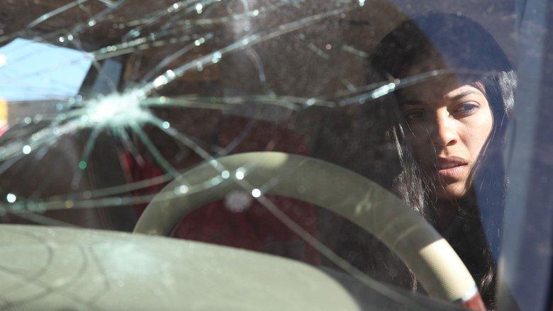 Miss Bala image