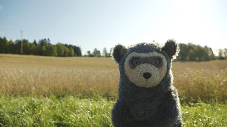 Bo Bear image