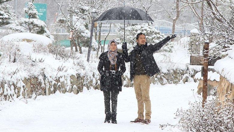 Jilbab Traveler: Love Sparks in Korea image