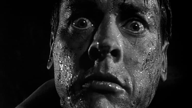 Invasion of the Body Snatchers image