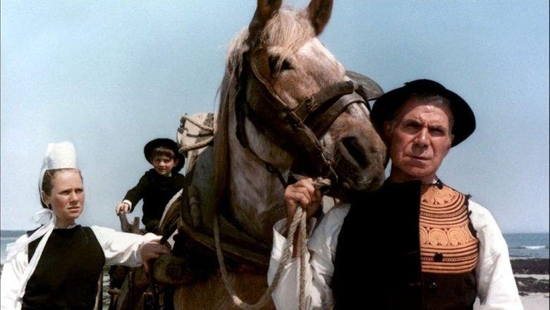 The Horse of Pride image