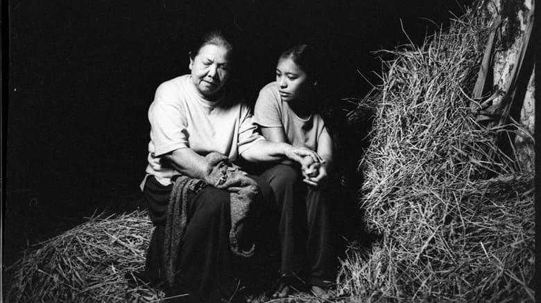 Evolution of a Filipino Family image