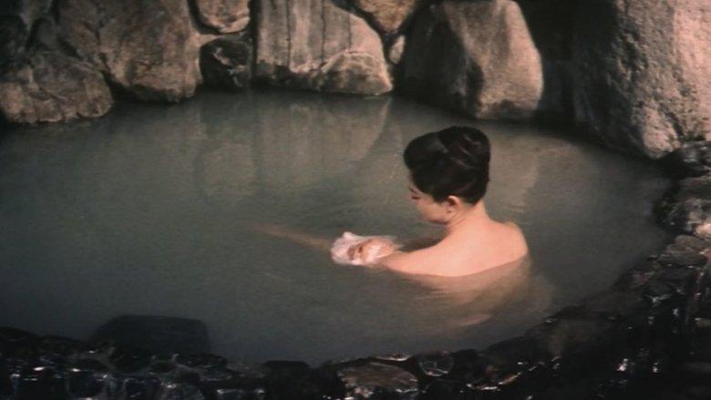 Akitsu Hot Springs image