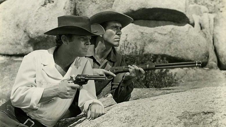 Son of a Gunfighter image