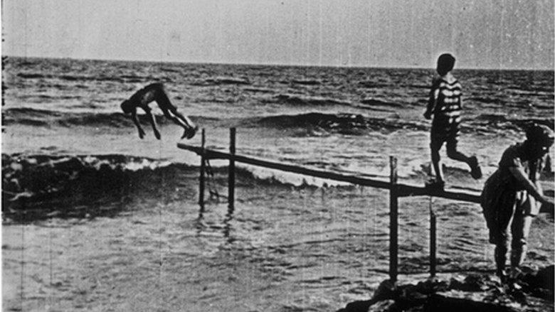 Swimming in the Sea image