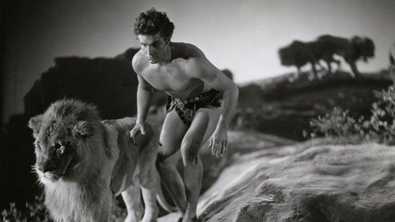 King of the Jungle image