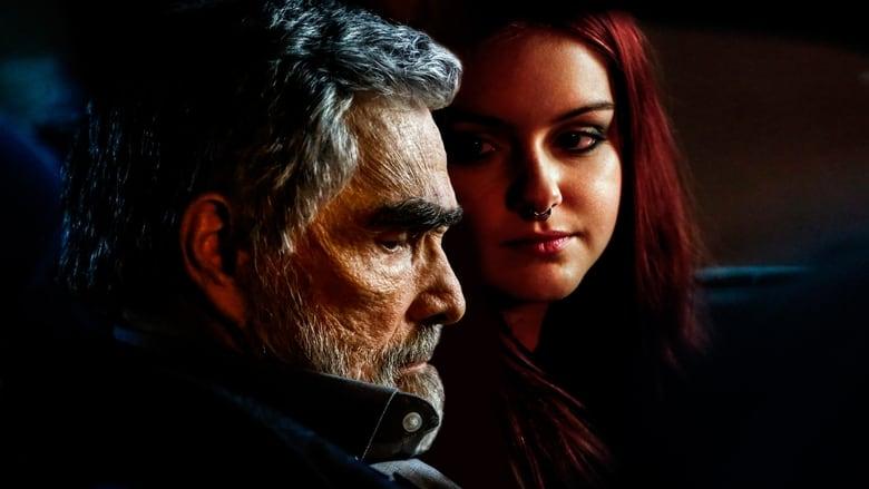 The Last Movie Star image