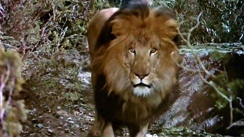 The Lion and the Horse image