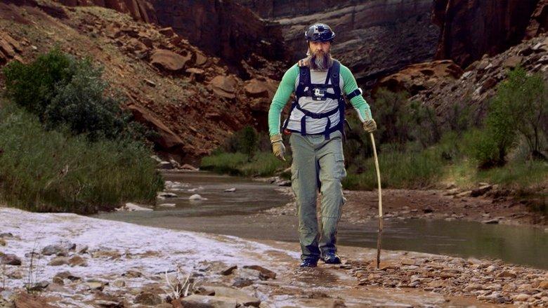 Remote Survival image