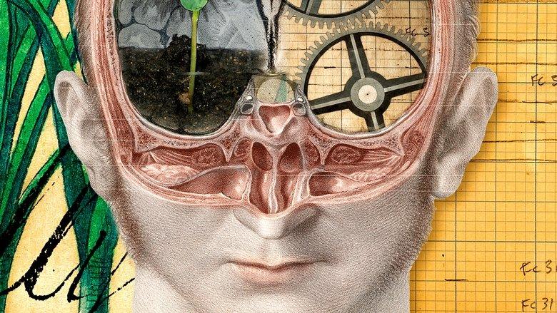 The Divided Brain image