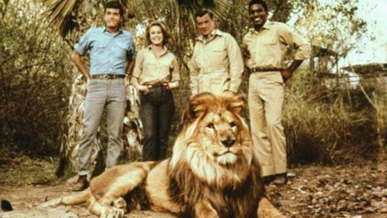 Clarence, the Cross-Eyed Lion image