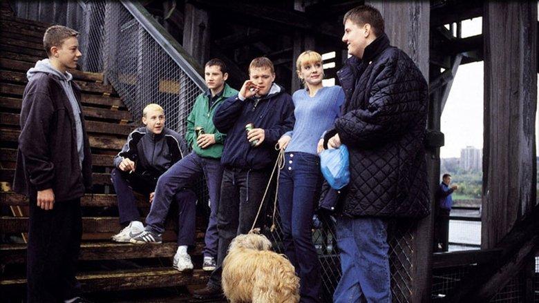 Purely Belter image